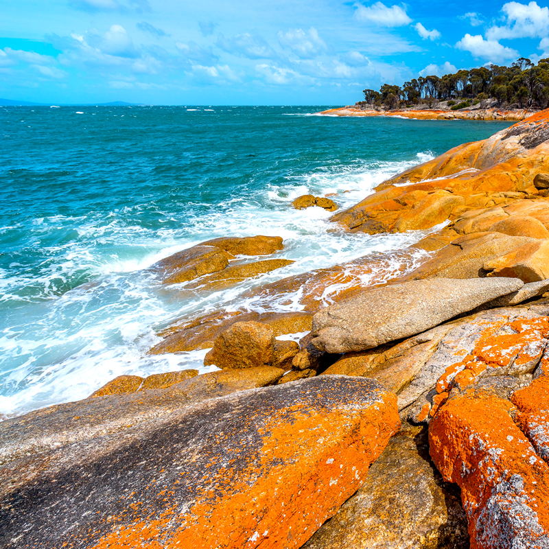 trousers,point,on,flinders,island,,tasmania